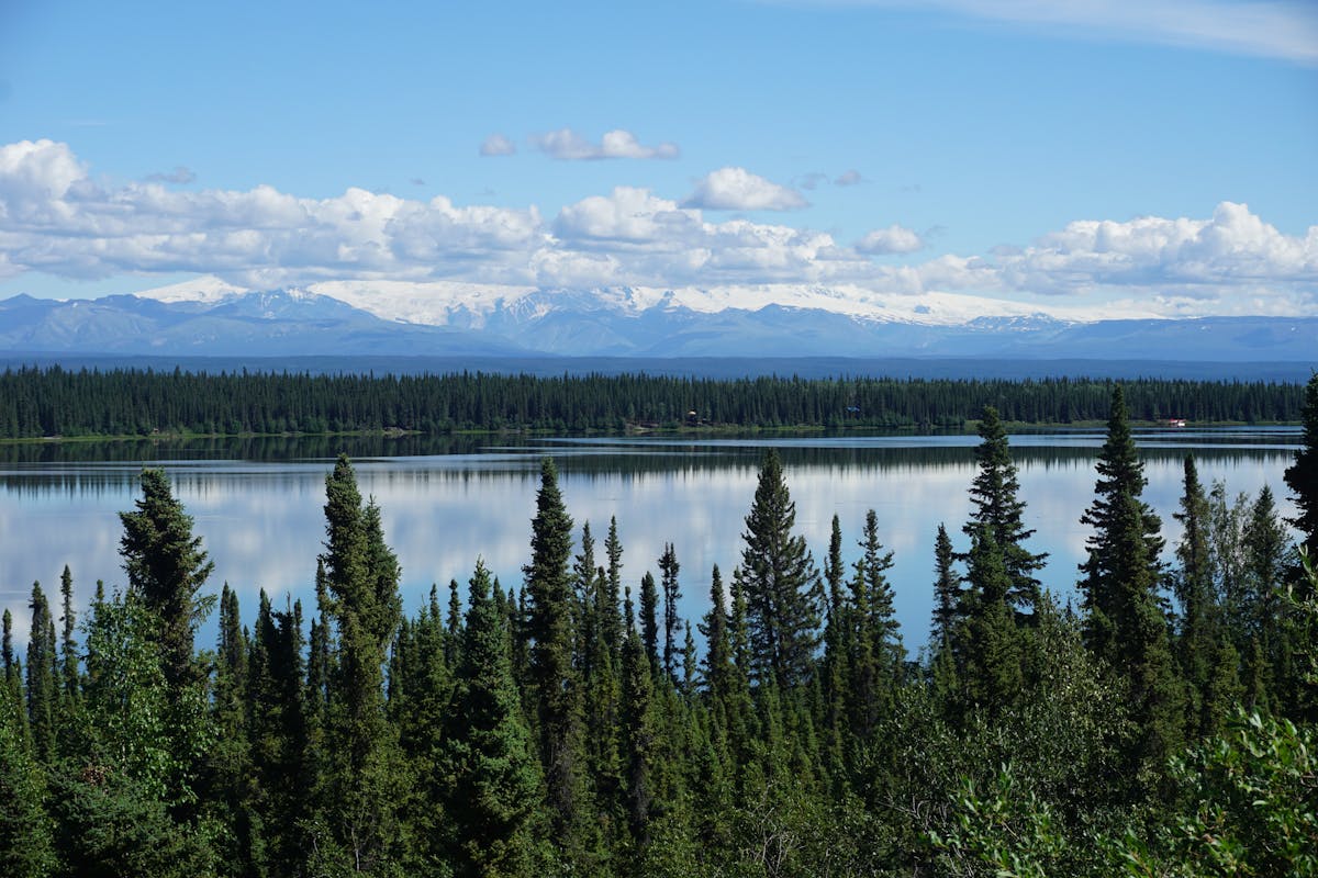 When To Go To Alaska - Finding Your Perfect Alaskan Adventure