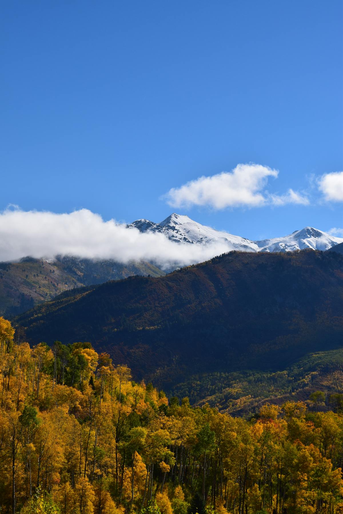 Unlock Amazing Vacation Deals From Denver - Your Gateway to Global Adventures Why Denver is a Prime Launchpad for Vacation Deals