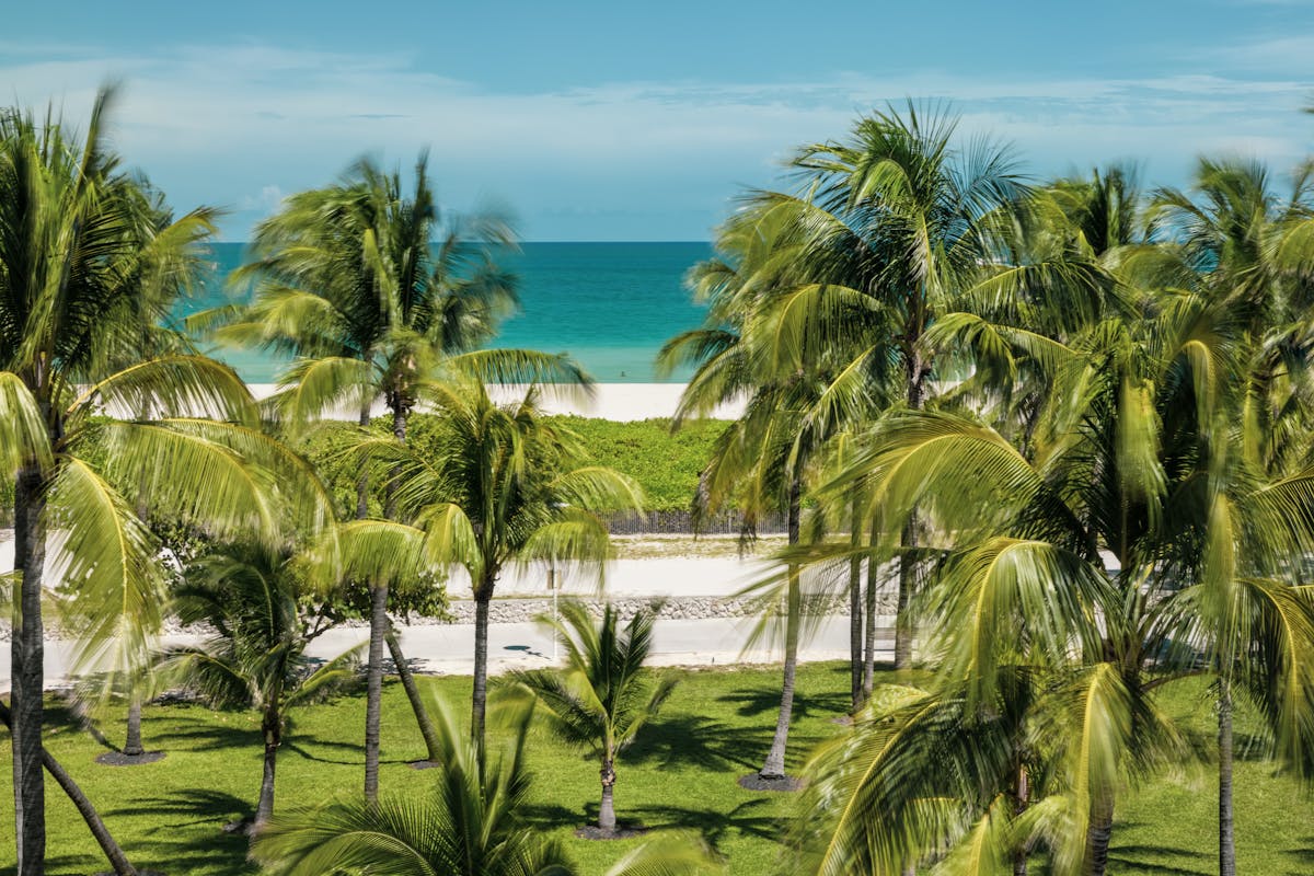Discover the Best Things to See in Key West Vibrant food festival showcasing Florida's culinary scene