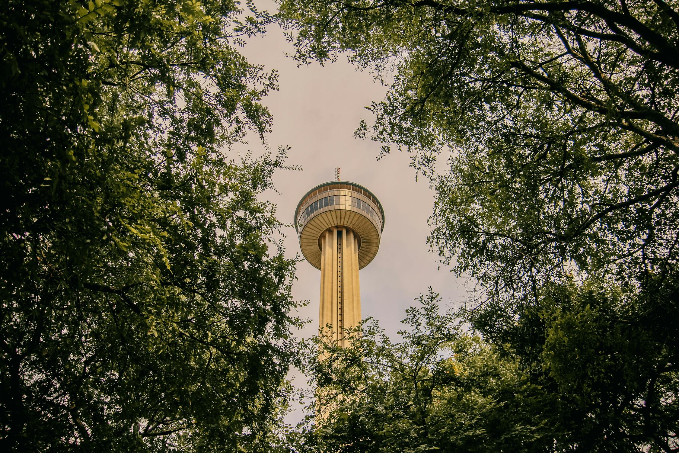 Why Visit Texas Uncover the Magic of the Lone Star State 2025