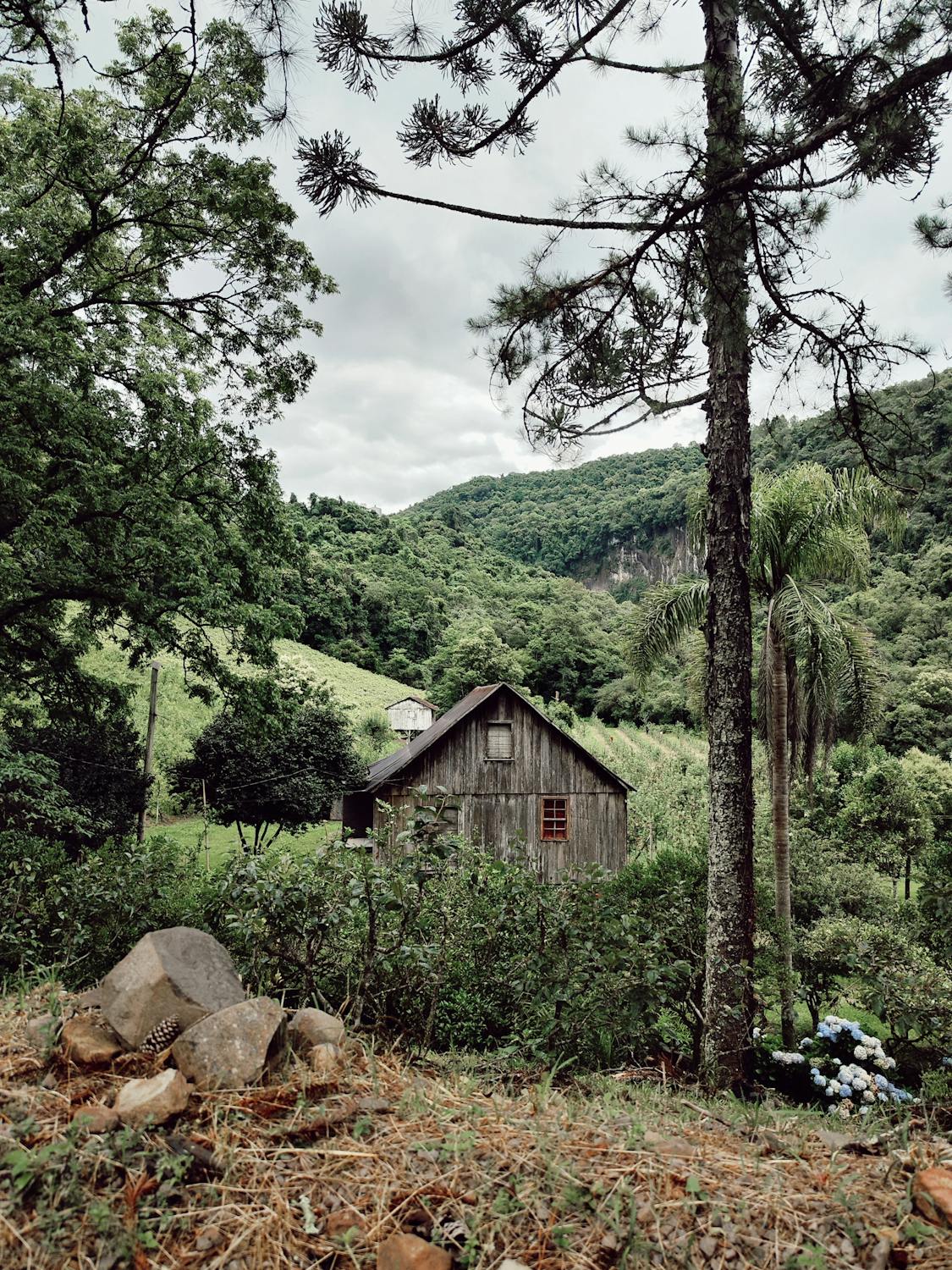 Why You Should Go Colorado - An Essential Travel Guide