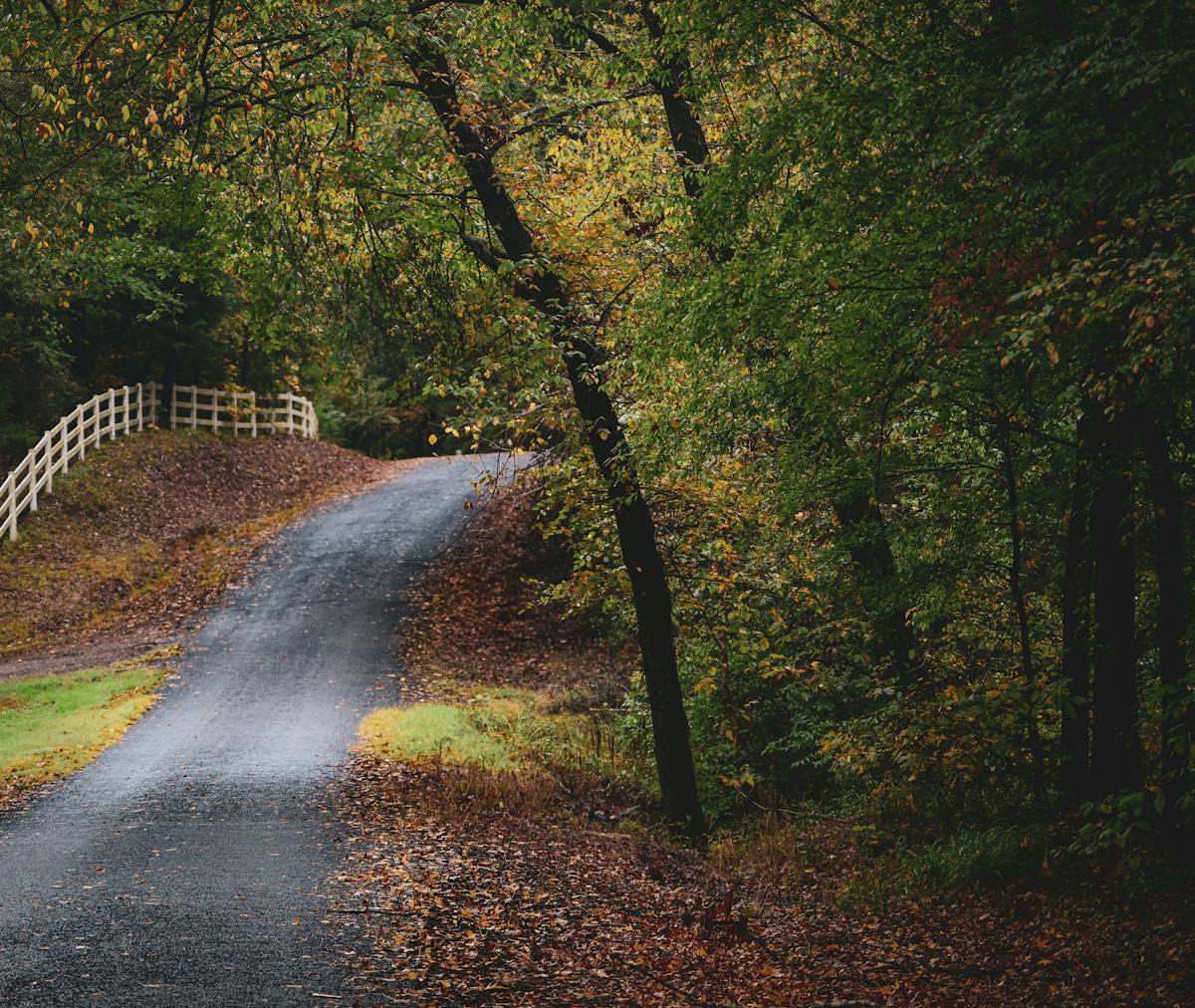 Unlock the Seasons - Your Guide to Austin Weather Monthly Winter (December - February) Mild and Mellow