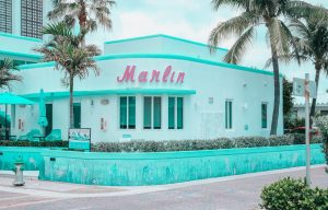 Your Ultimate Guide - what to eat in tampa florida