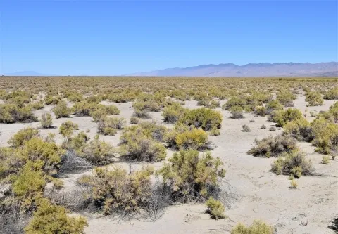 A dry sagebrush landscape stretches into the horizon. Mountains in the background.
