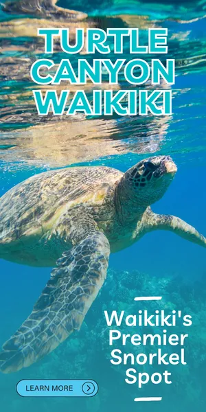 A group of people snorkeling in clear blue water above a coral reef, with colorful fish swimming around them.