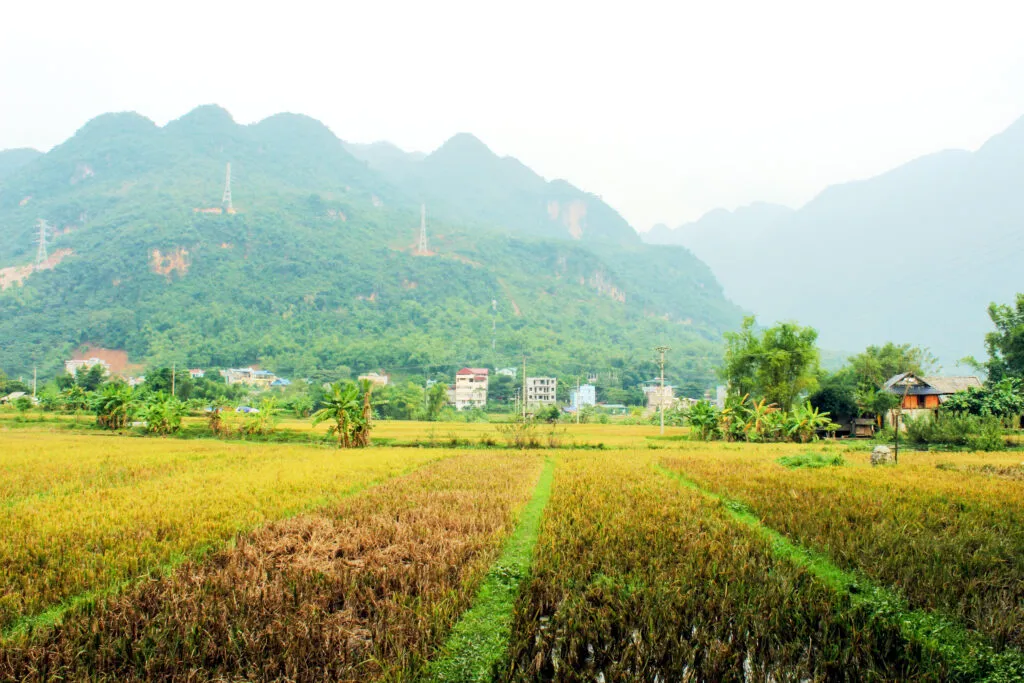 A lush, green valley with traditional stilt houses nestled among palm trees and distant mountains