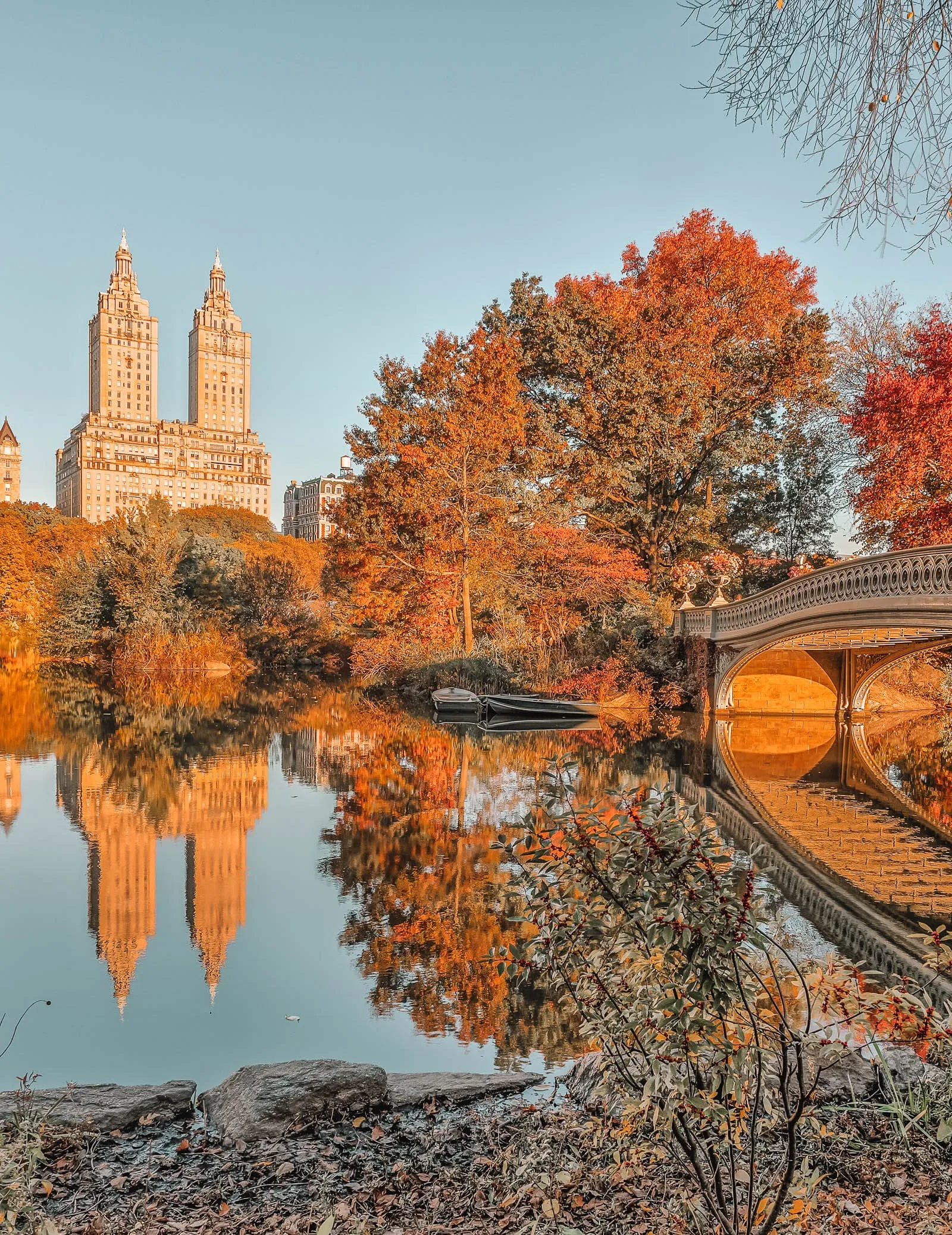 A paved path winding through Central Park