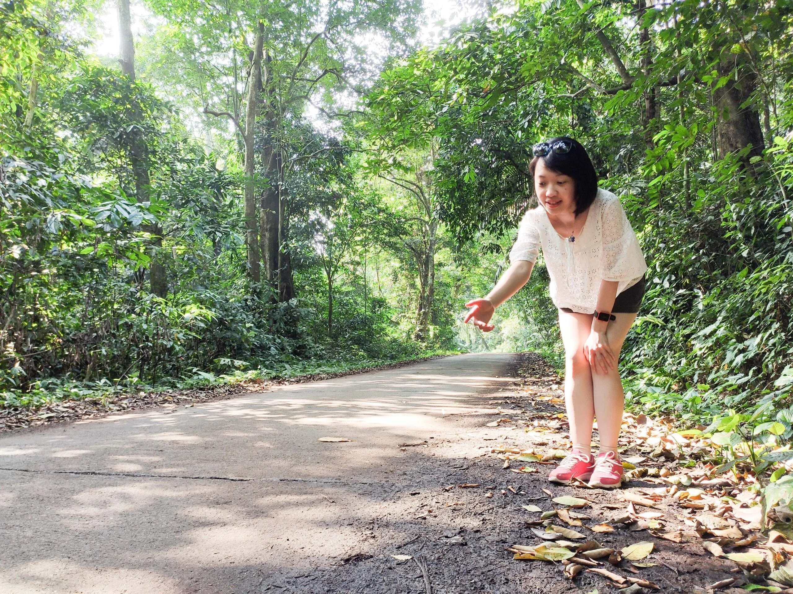 A person wearing a wide-brimmed hat in a lush forest, reaching out towards butterflies