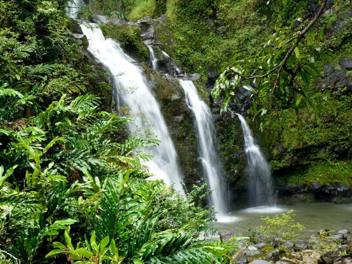 A powerful waterfall surrounded by lush green vegetation in Waimea Valley, Oahu.