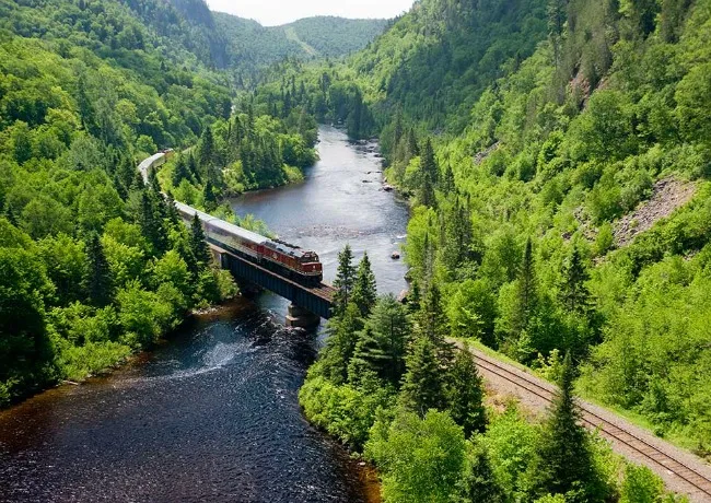 A scenic train winding through a colorful gorge on the Agawa Canyon Tour, a stunning journey accessible when exploring the Upper Peninsula and beyond.