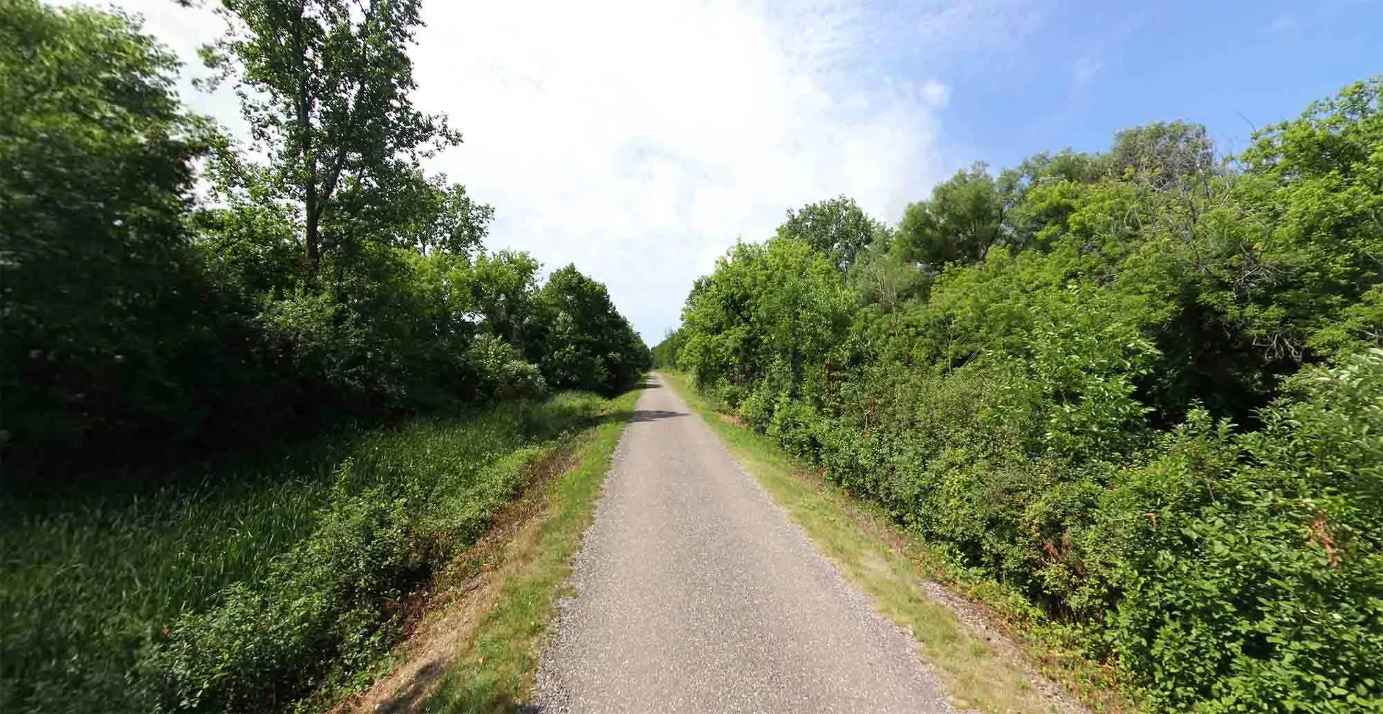 A trail passing through a wooded area in Oakland County, part of the Clinton River and West Bloomfield Trails
