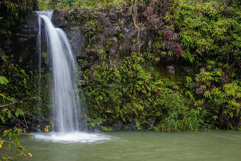 A waterfall cascades down rocks next to the scenic road to Hana in Maui.