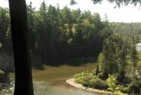 A well-maintained section of trail winding through an aspen forest, ideal for backpacking northern michigan