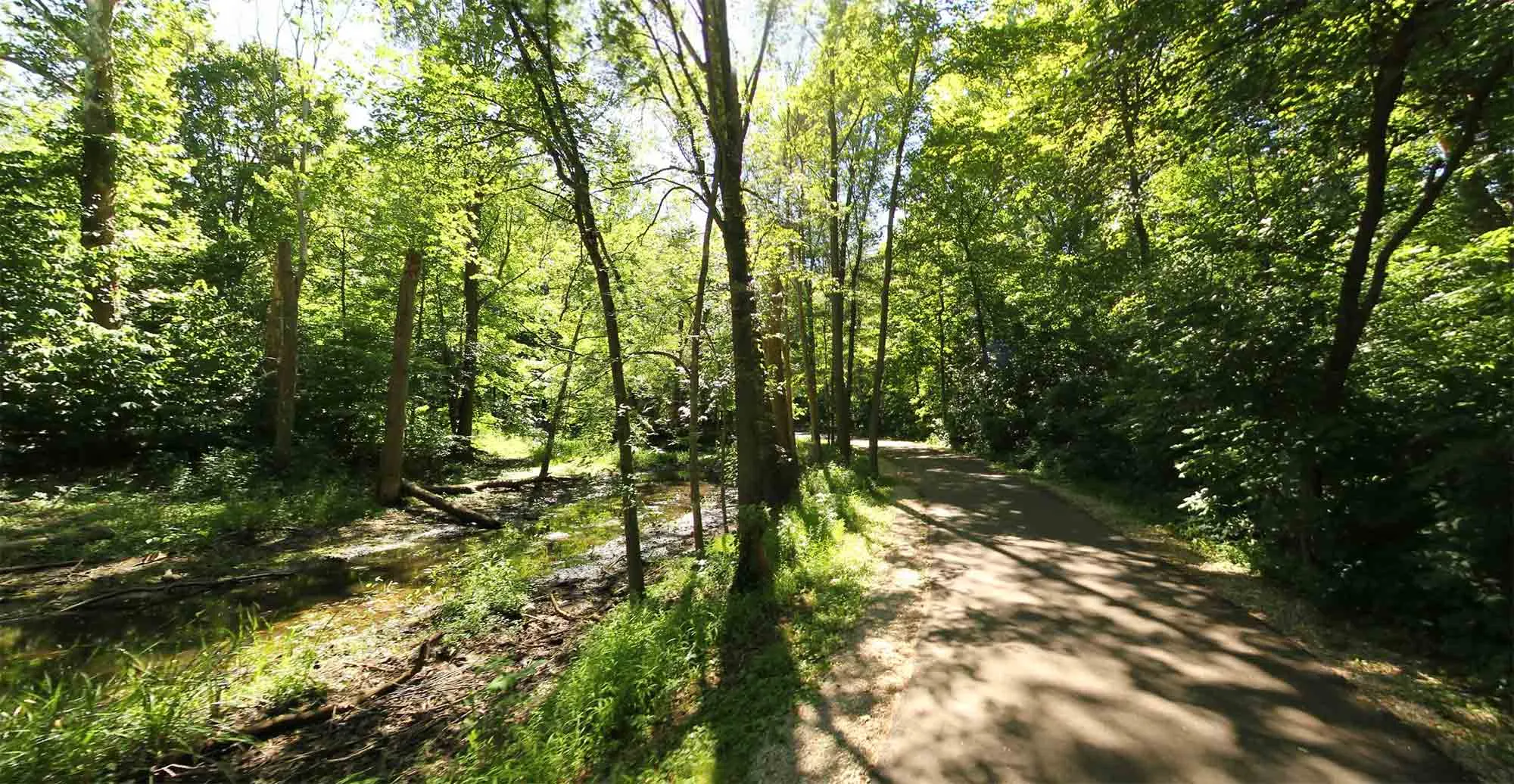A wide, paved trail cutting through a park, part of the Clinton River Park Trail network