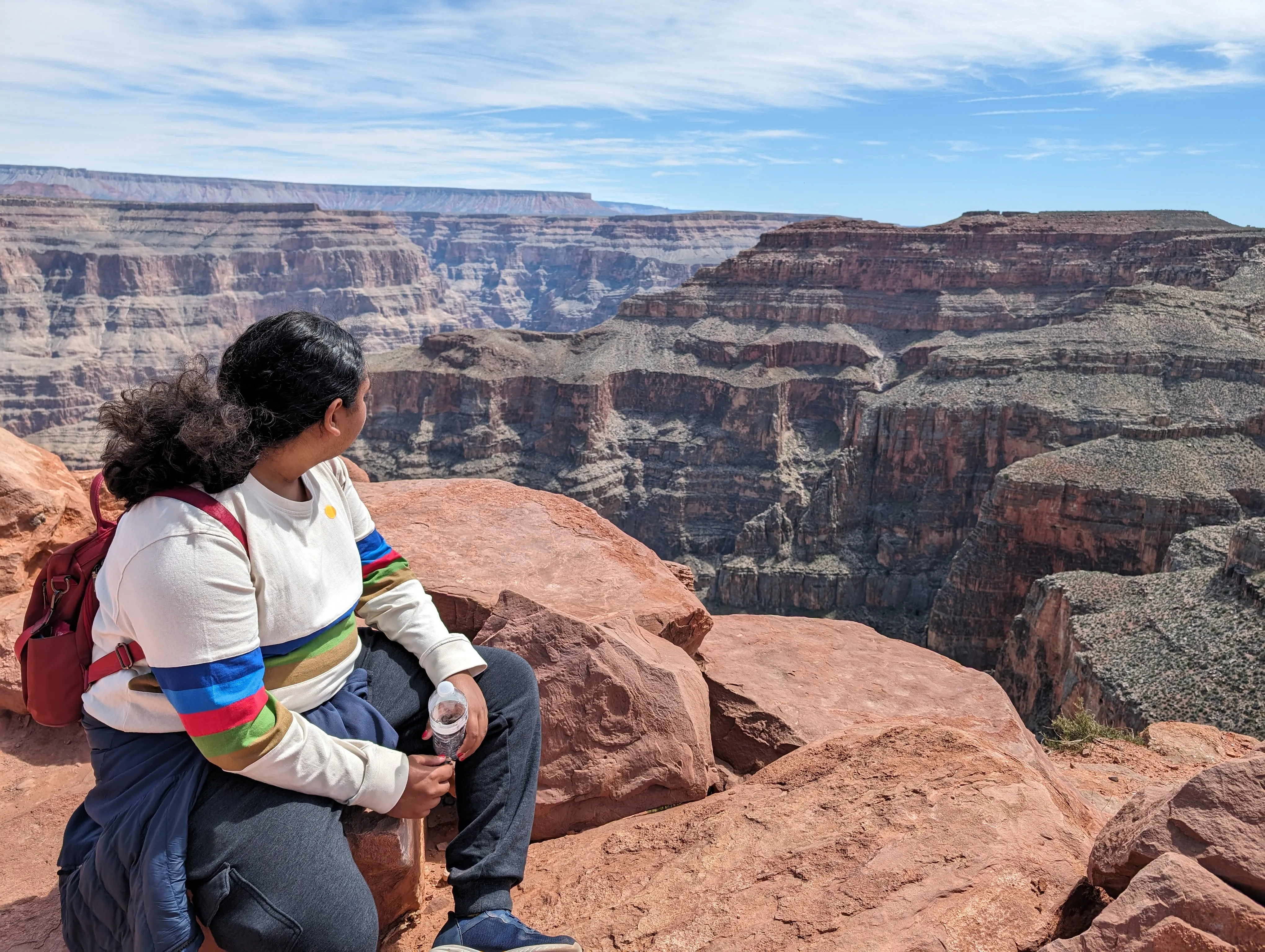 A young person overlooking the Grand Canyon 