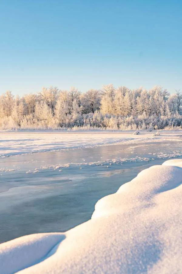 Alaska Railroad train traveling through a snow-covered landscape in winter