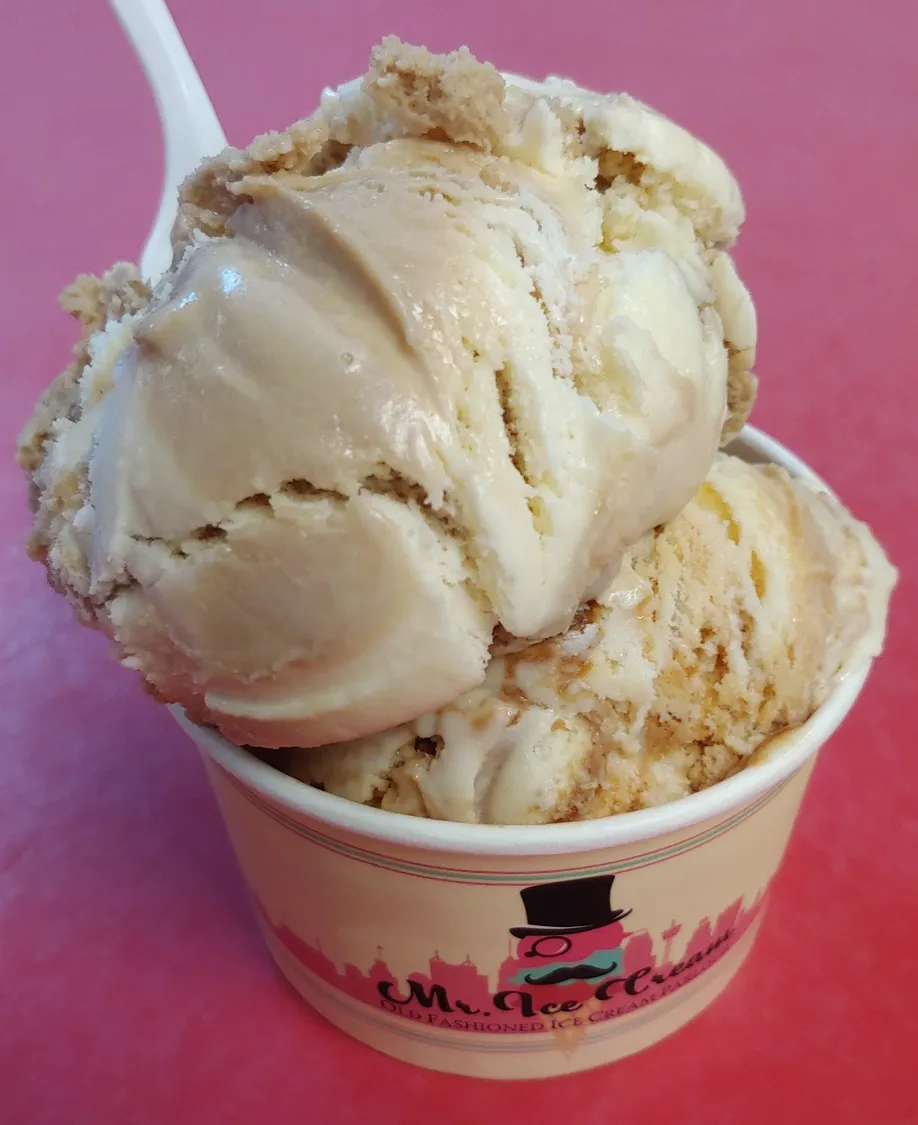 An ice cream cone with two scoops in a cup