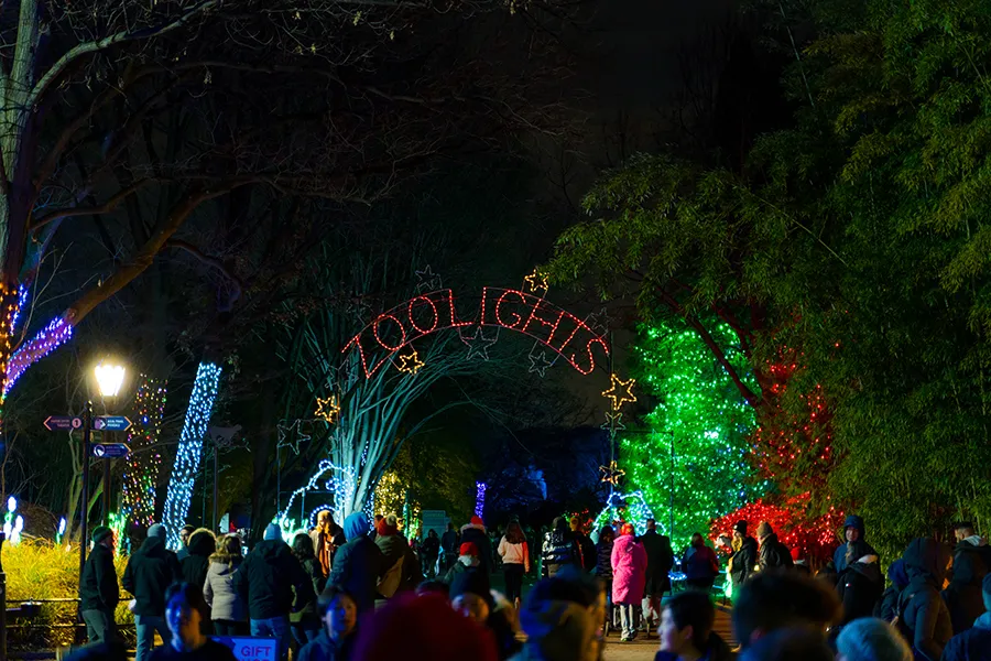 Animal-themed holiday light displays at ZooLights at the Smithsonian's National Zoo in Washington DC