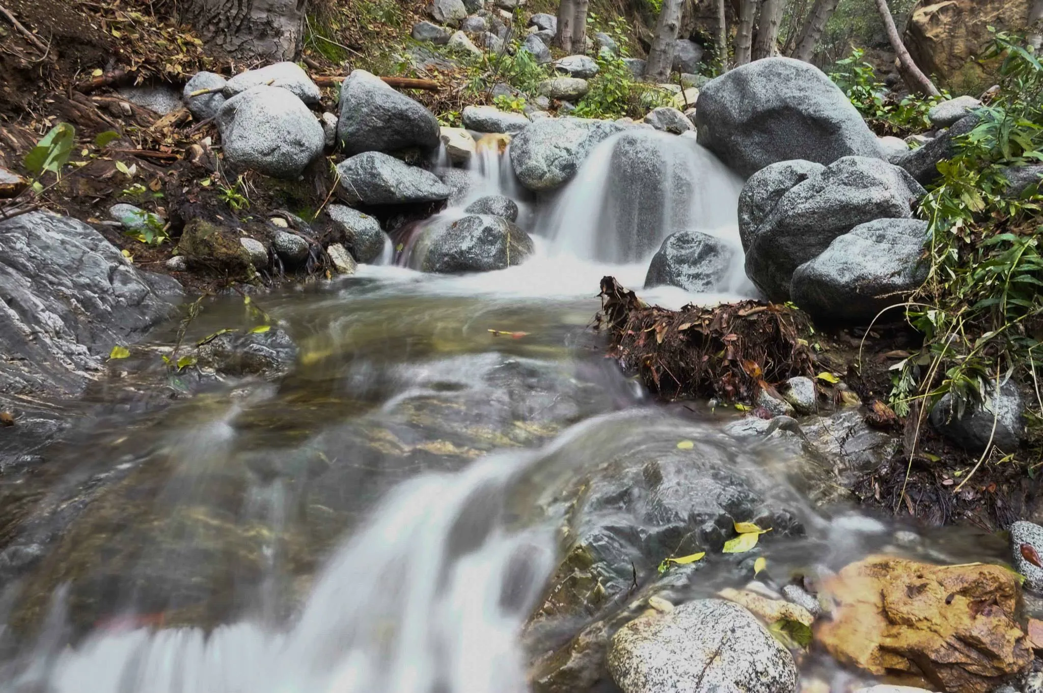 Backpacker hiking along a creek in a wooded canyon
