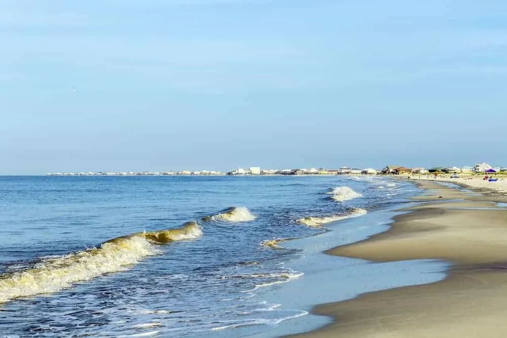 Beach shoreline with palm trees and the Gulf of Mexico water on Dauphin Island