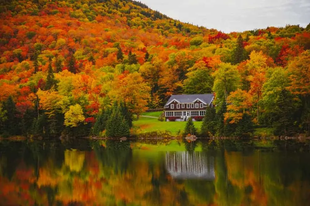 Beautiful autumn leaves starting to change color in New England