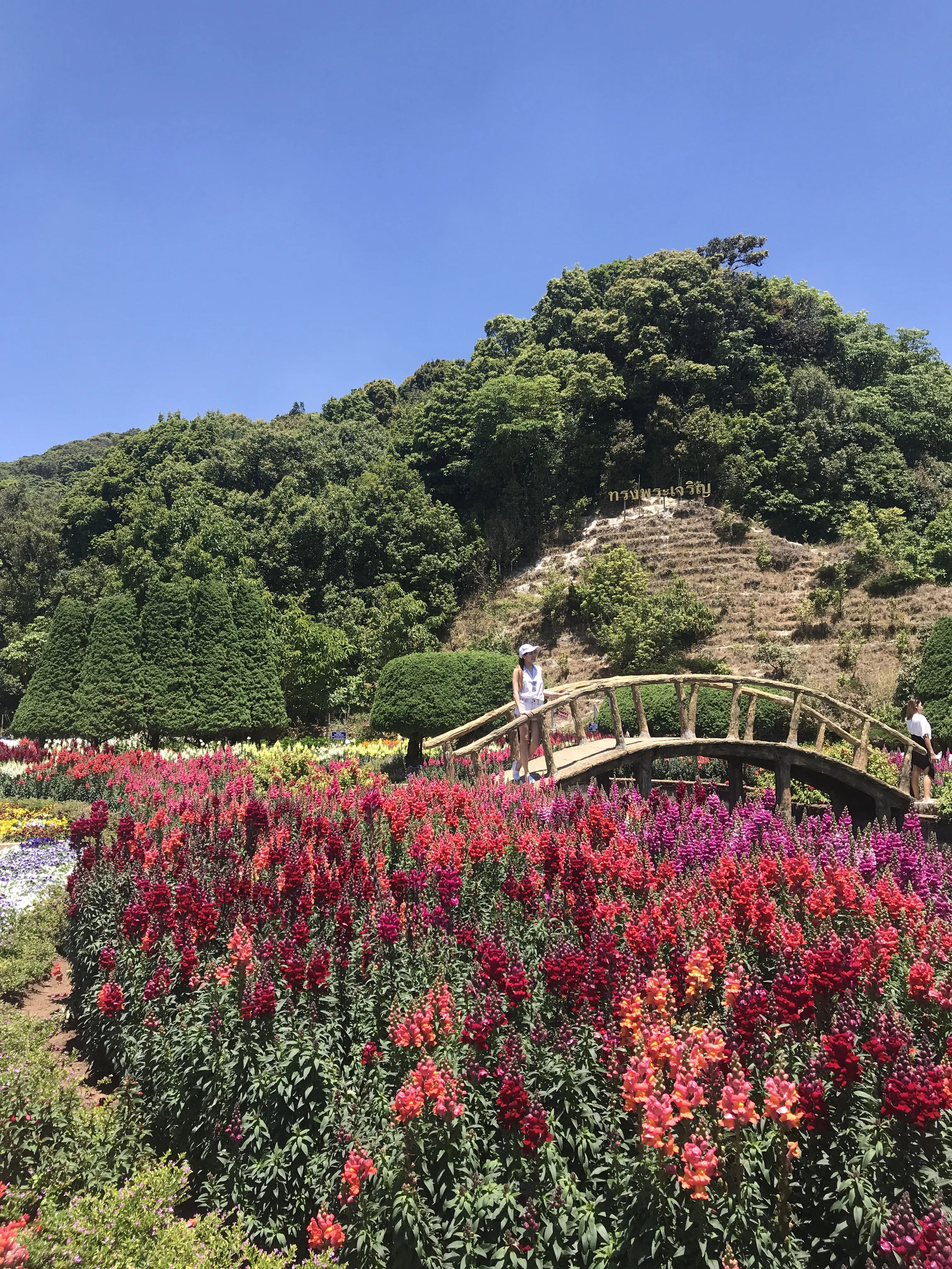 Beautiful gardens near the King and Queen's Chedis at Doi Inthanon