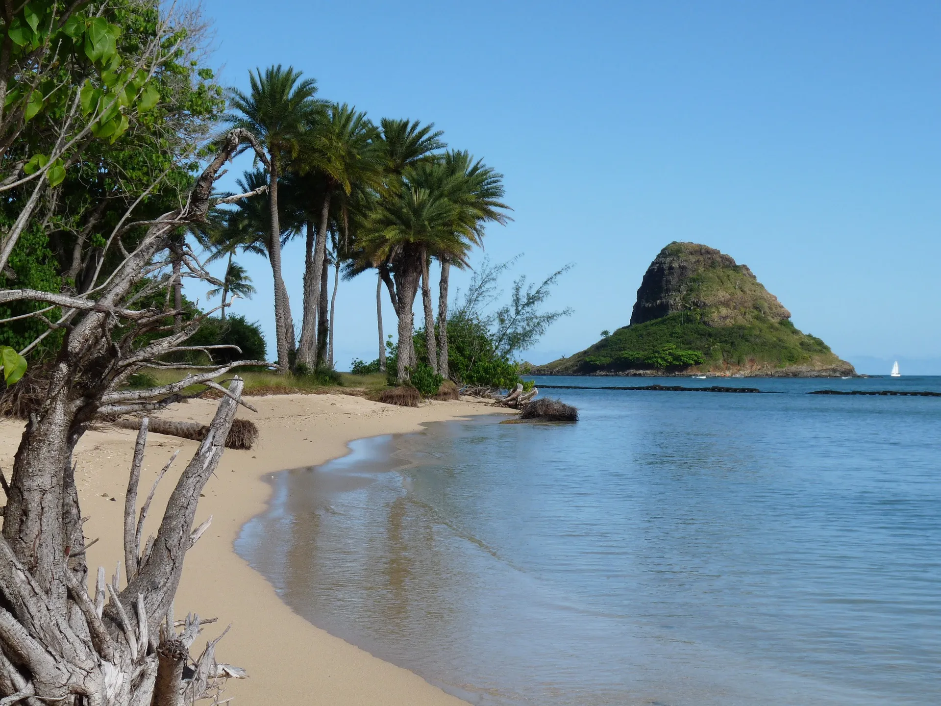 Beautiful Waikiki Beach scene, one of the best things to see in Honolulu