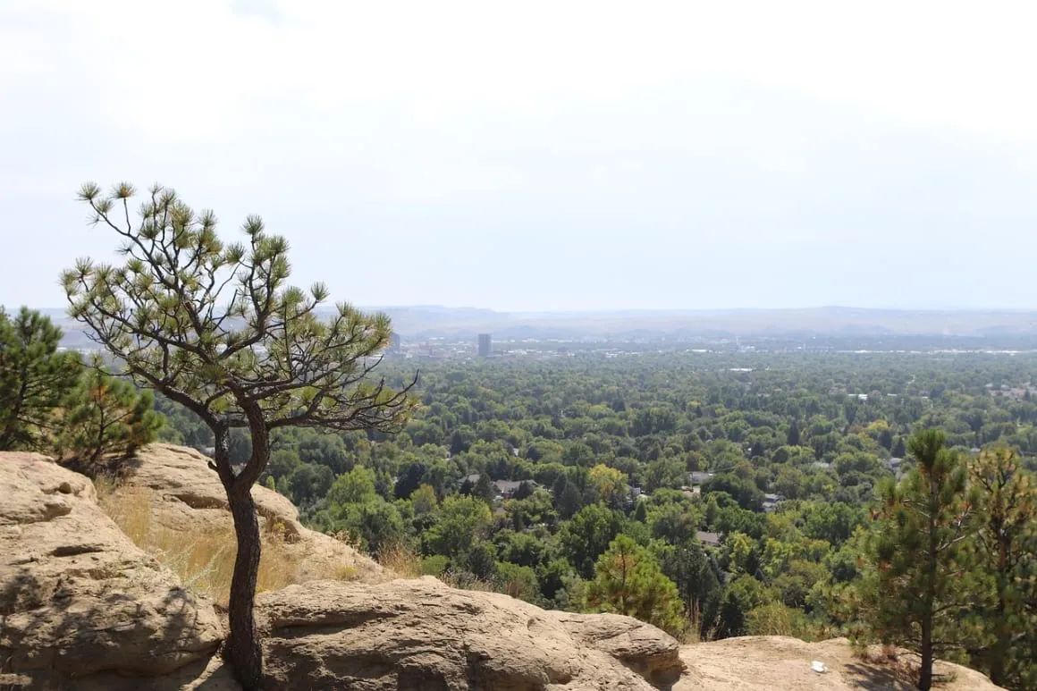Billings Montana