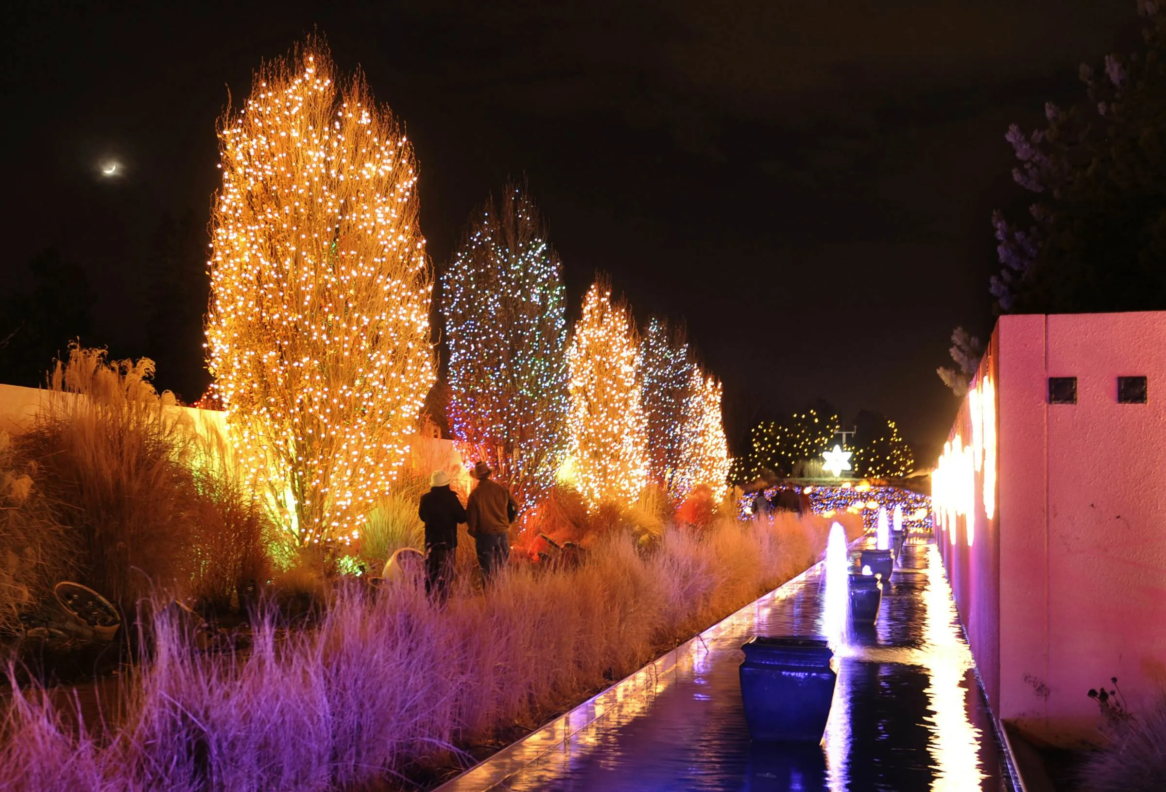 Blossoms of Light holiday display at Denver Botanic Gardens, a magical experience when visiting Denver in December