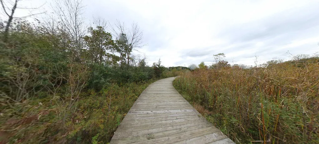 Boardwalk extending over a marsh, providing access on the Crosswinds Marsh Trails