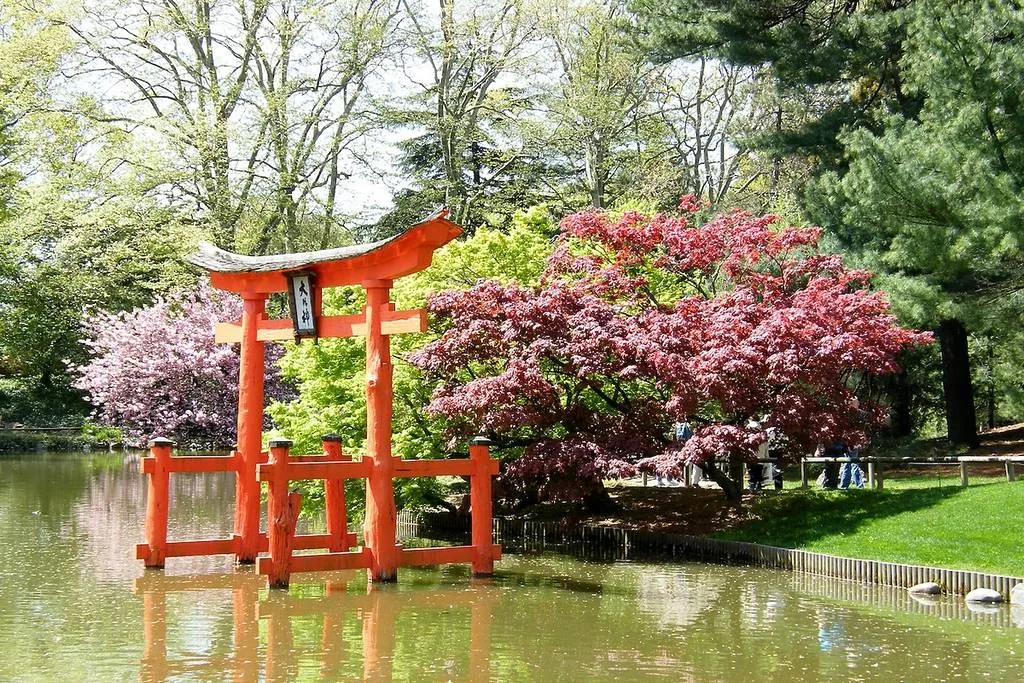 Brooklyn Botanic Garden Cherry Blossoms, a beautiful natural sight when deciding where to go in NYC today during spring.