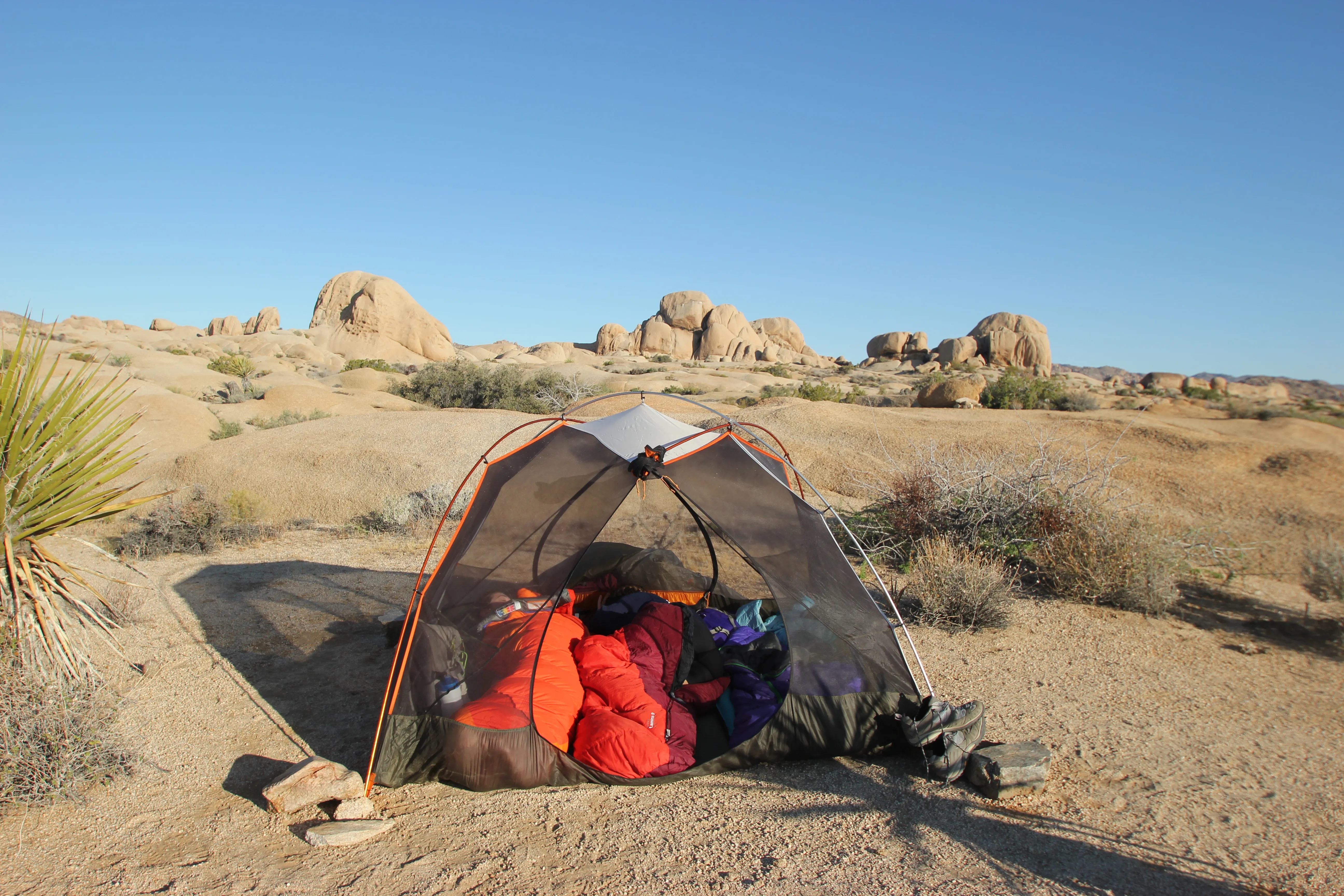 Campsite among large rock formations and Joshua Trees
