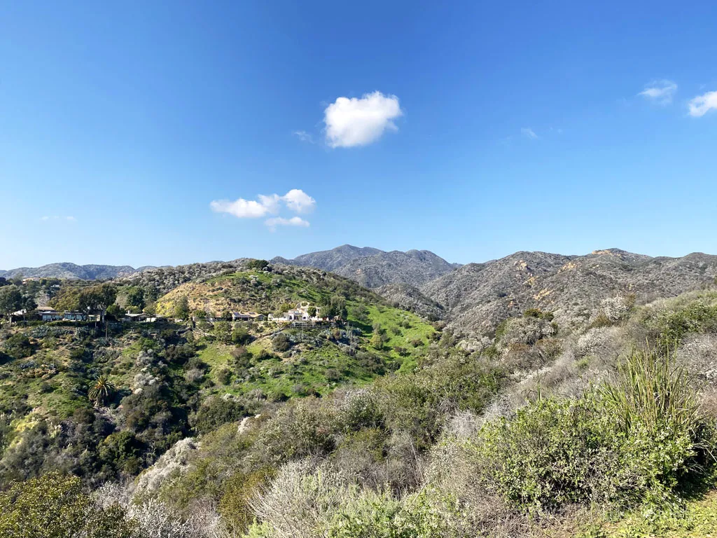 Discover the Best Cooking Courses Los Angeles Has to Offer canyon views on a sunny day in Los Angeles, CA