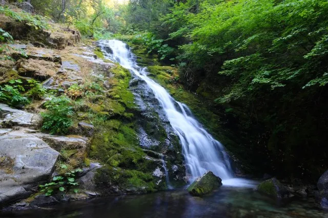 Cascading water of Whiskeytown Falls surrounded by green forest in California