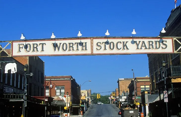 Cattle drive spectacle at The Fort Worth Stockyards National Historic District