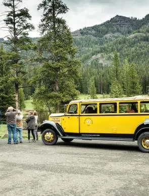 Classic Yellowstone Tour bus guiding visitiors around Yellowstone National Park.