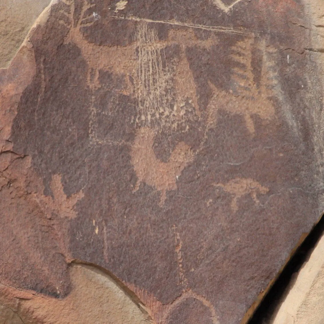 Close-up view of ancient petroglyphs carved into rock at Legend Rock Petroglyph Site - Things To See And Do In Wyoming Culture