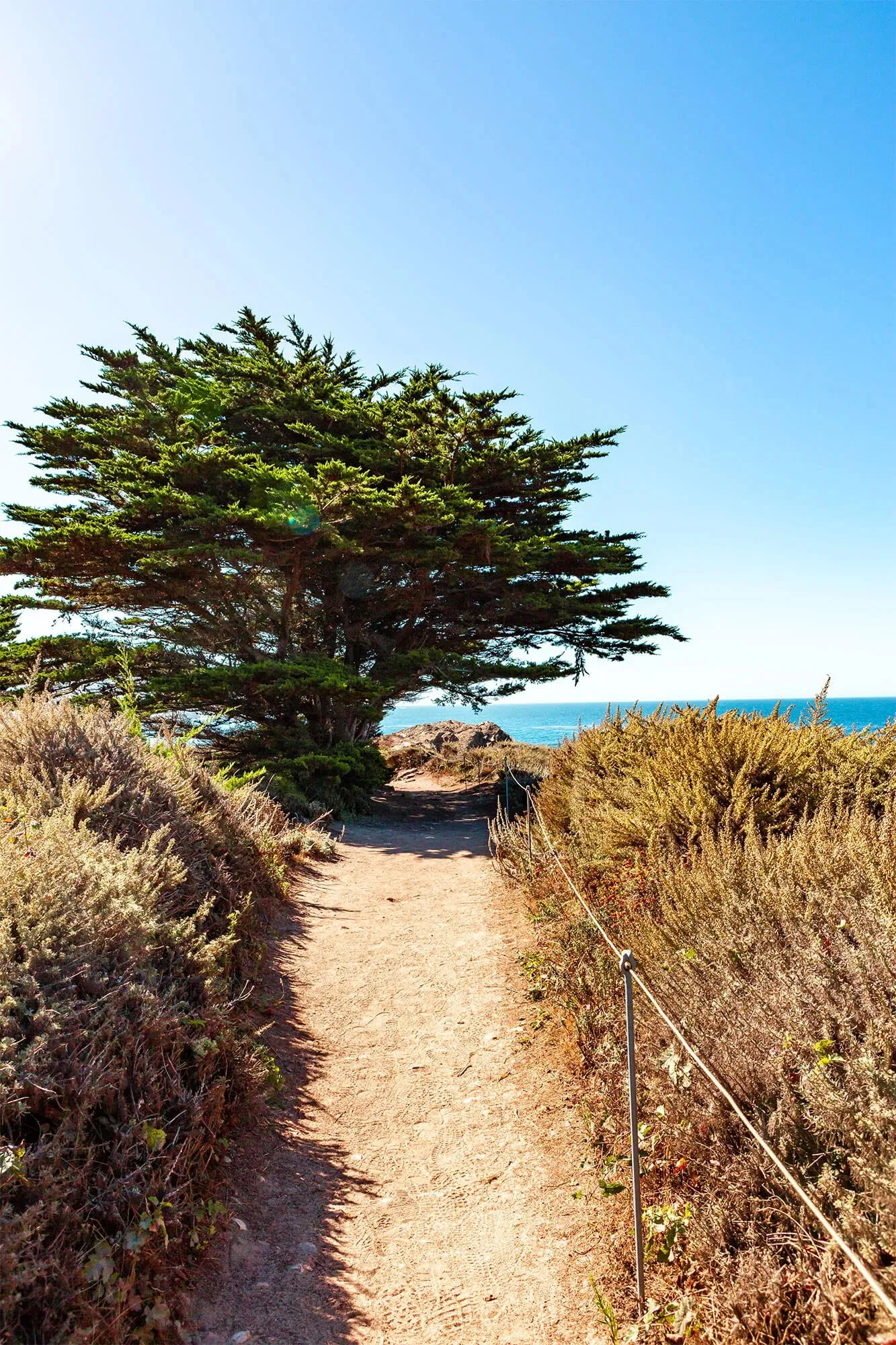 Essential Things To See In Big Sur On Your Trip Essential Things To See In Big Sur On Your Trip