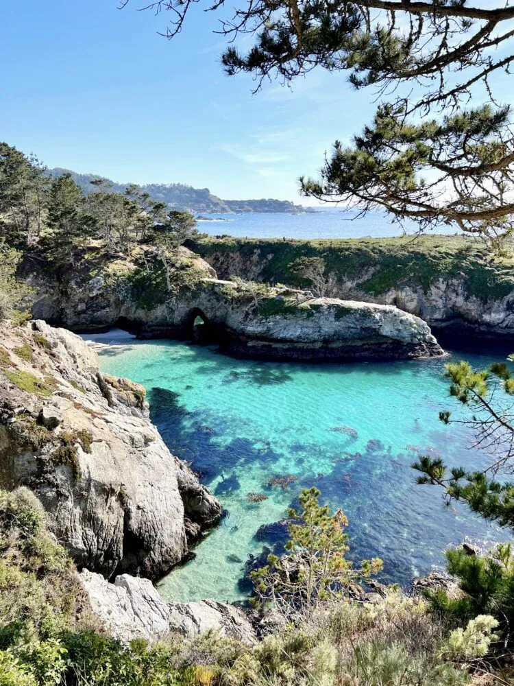 Coastal view of Point Lobos State Reserve