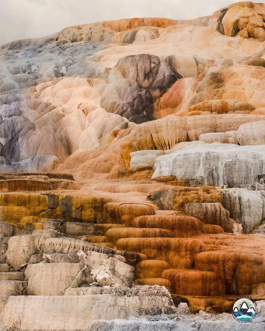 Colorful mineral terraces at Mammoth Hot Springs in Yellowstone National Park, Wyoming