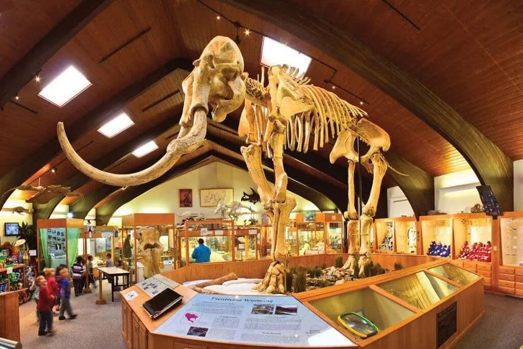 Columbian Mammoth skeleton surrounded by exhibits at the Tate Geological Museum in Casper - Educational Things To See And Do In Wyoming