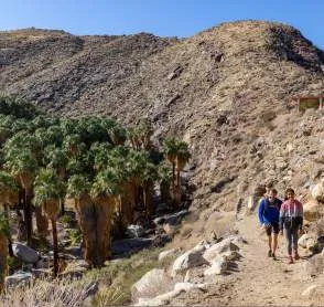 Unmissable Things To See In Palm Springs Ca Unmissable Things To See In Palm Springs Ca