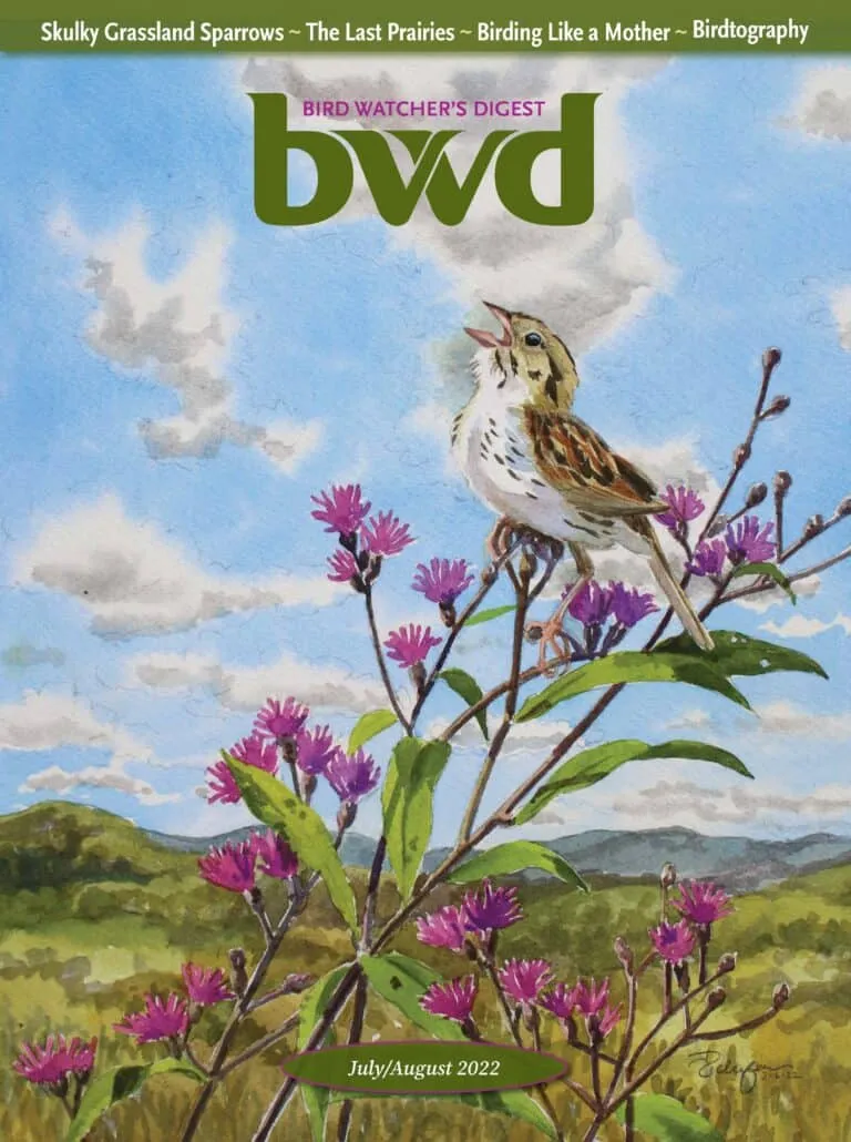Cover of BWD Magazine featuring a bird image, representing resources for learning more about finding what is the best time and places for birding.
