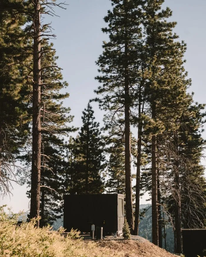 Cozy cabins nestled in the trees around Big Bear Lake, California