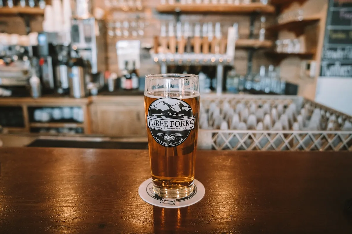 Craft beer on a bar counter in Nevada, enjoying local brews is one of the fun things to do in nevada