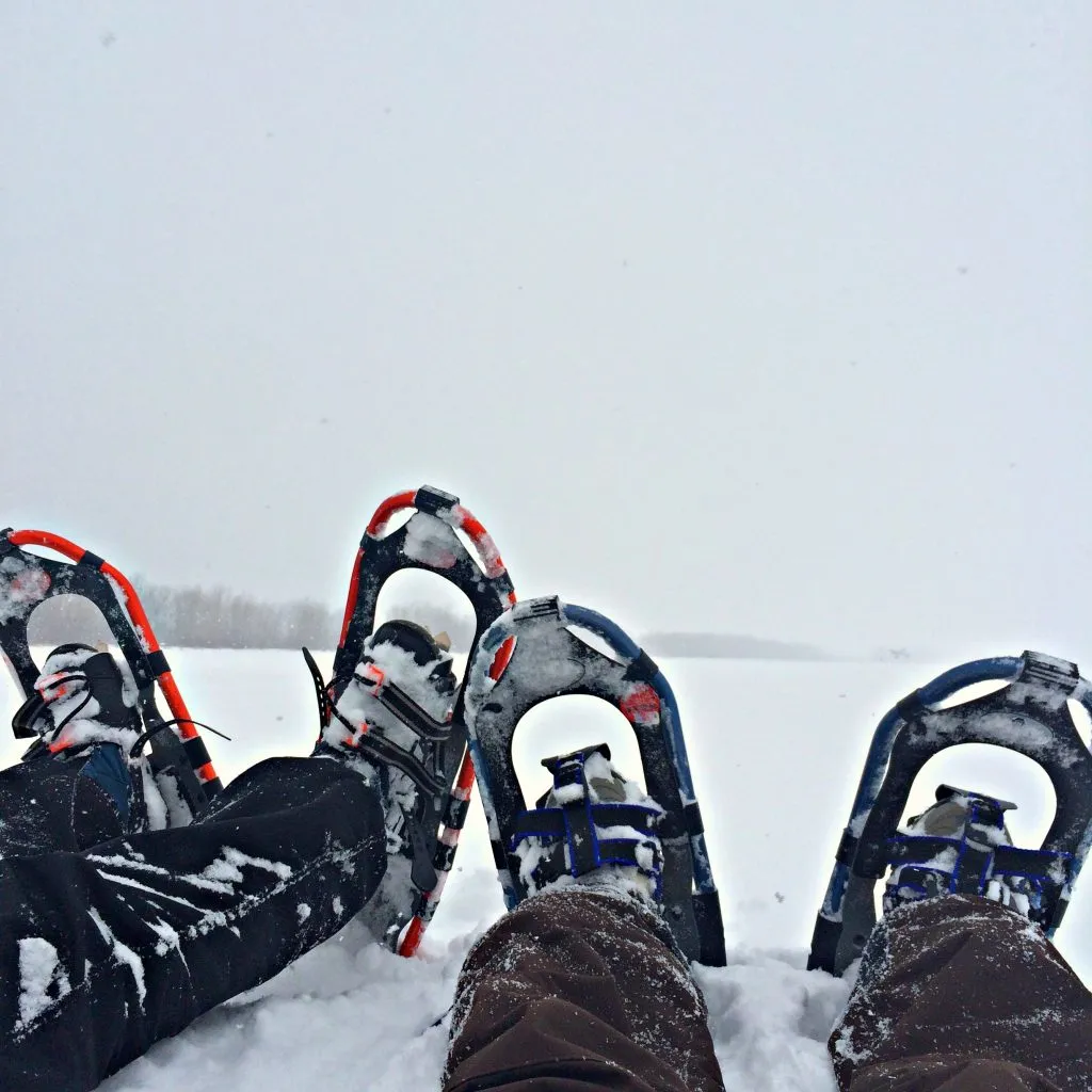 Cross-country skier on a snowy trail in Michigan