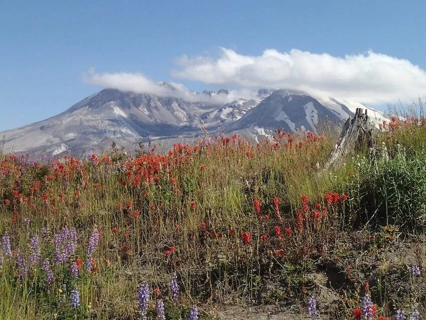 day trips from seattle mt st helens