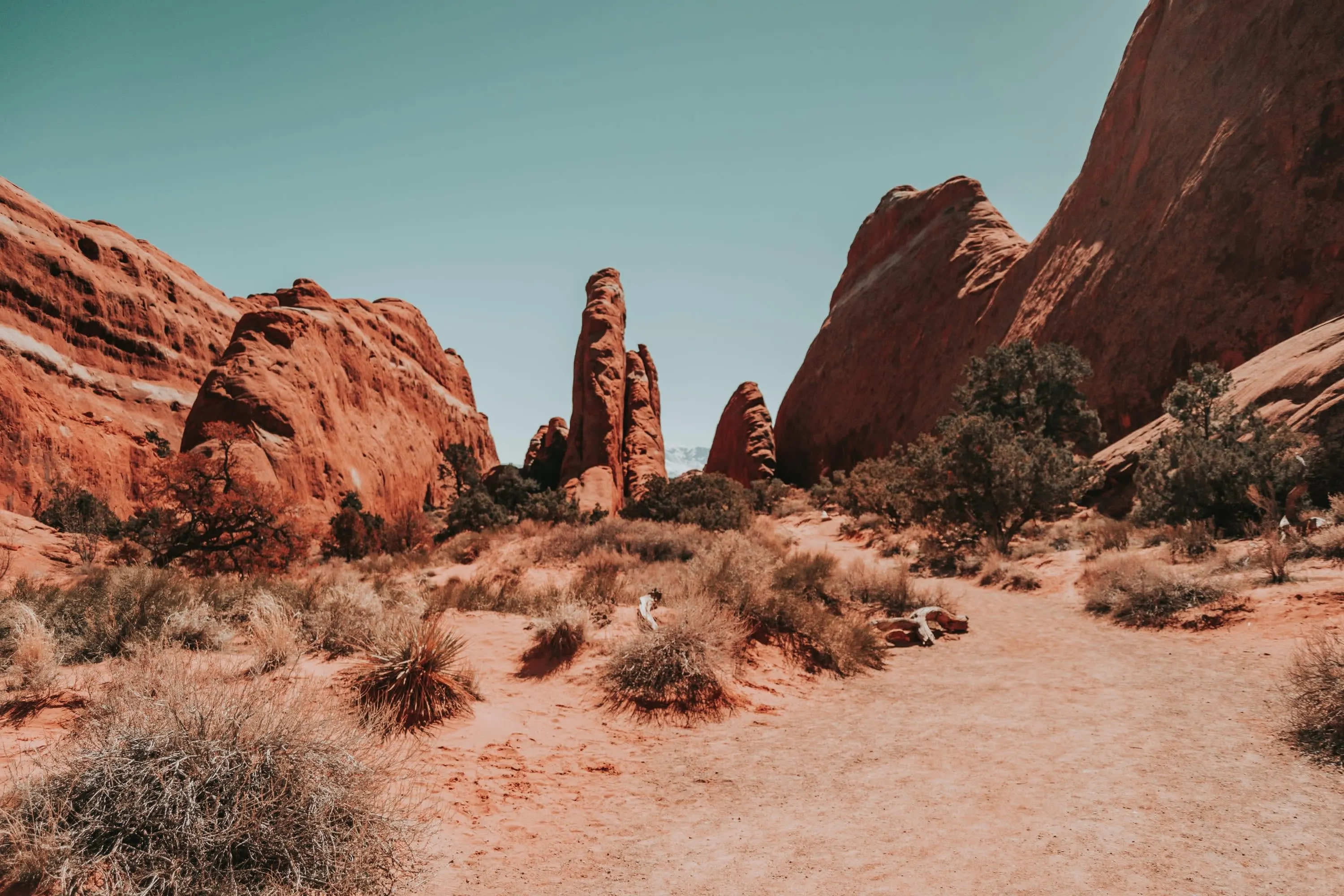 Desert vegetation interrupts red rock formations in a dry, hilly landscape