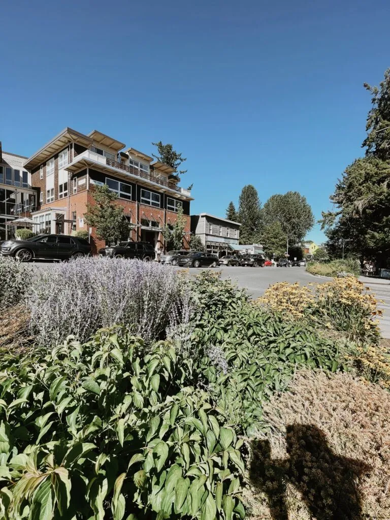 downtown bainbridge island seattle
