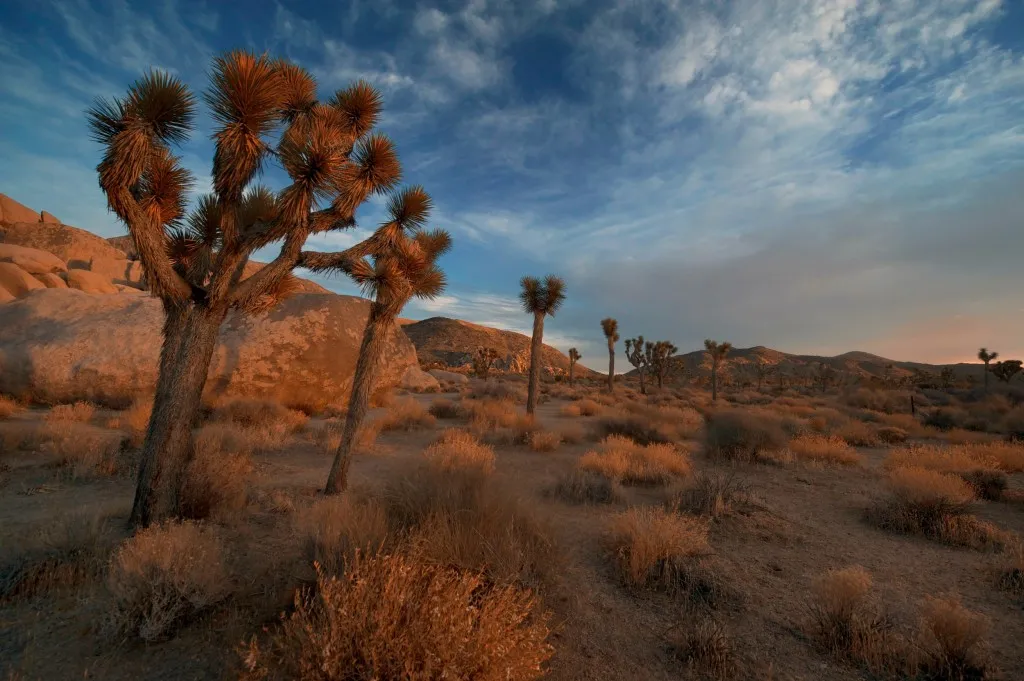 Dramatic desert landscape at sunset, ideal for photography day trips